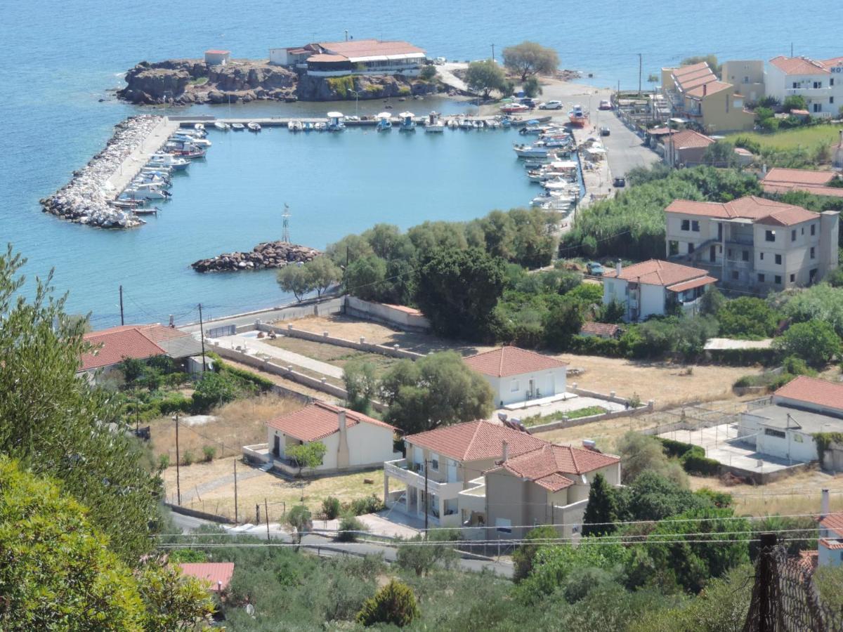 Fotis Apartments Σκάλα Νέων Κυδωνιών Εξωτερικό φωτογραφία