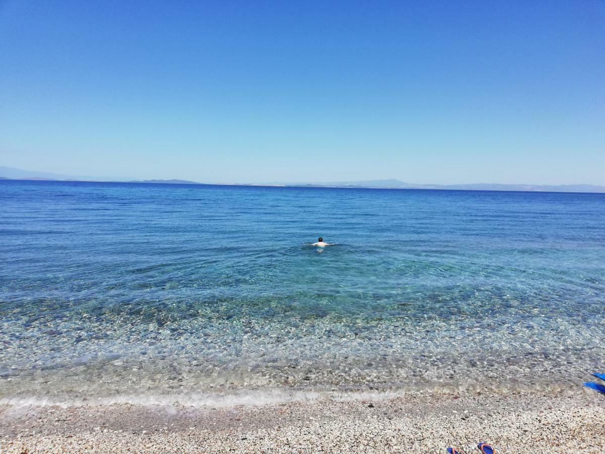Fotis Apartments Σκάλα Νέων Κυδωνιών Εξωτερικό φωτογραφία