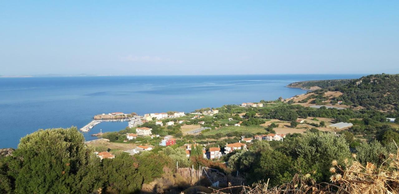 Fotis Apartments Σκάλα Νέων Κυδωνιών Εξωτερικό φωτογραφία
